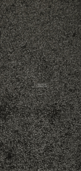 Ковролин  Graphit фото 1 | FLOORDEALER